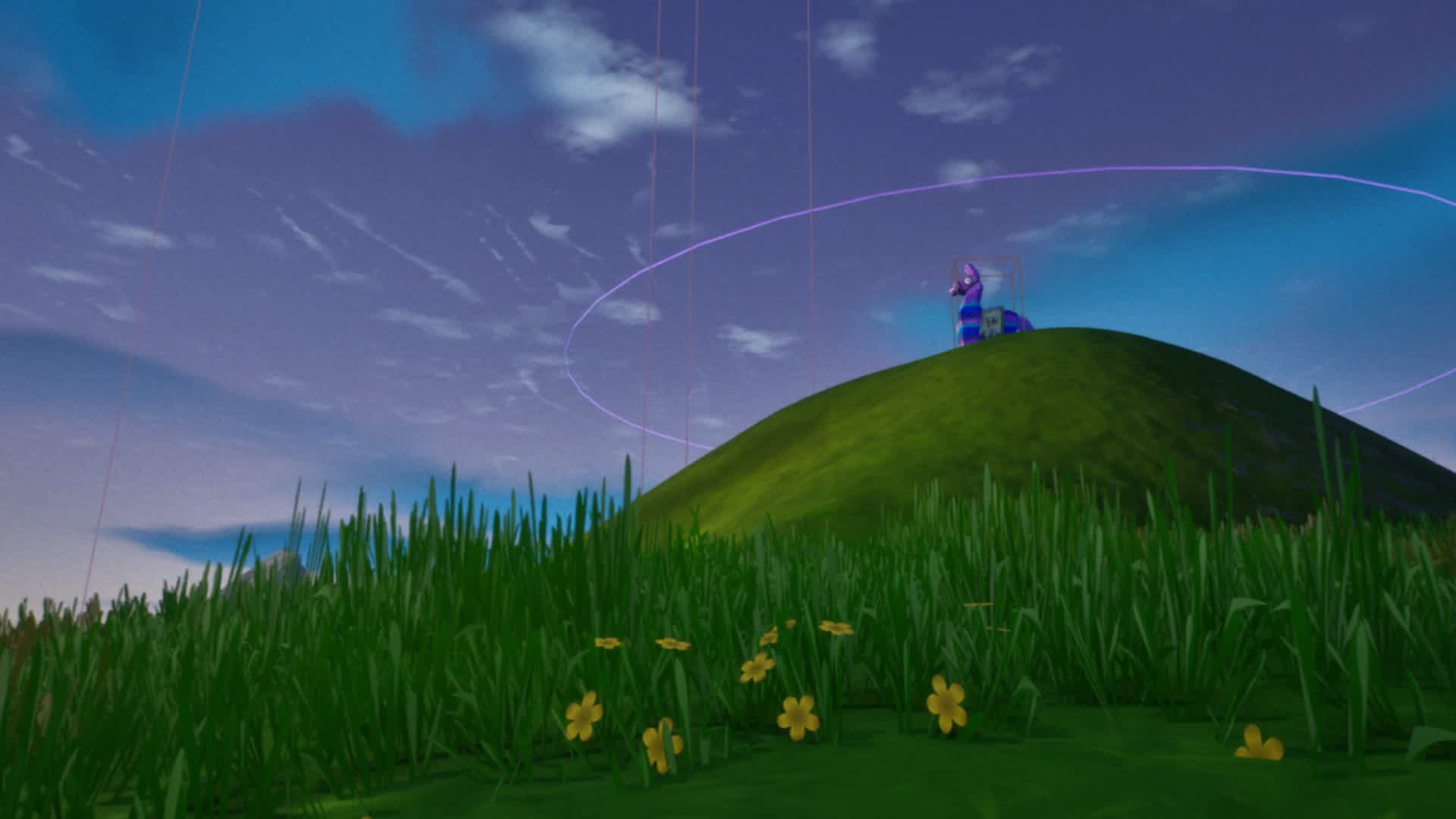 The Hill