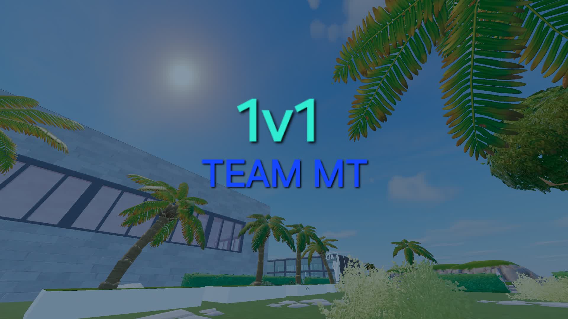 1 VS 1 team MT