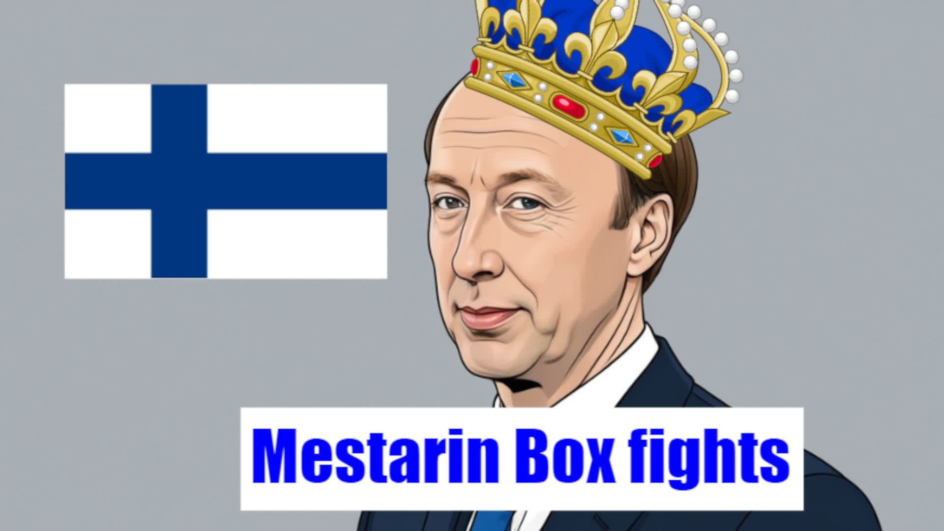 MESTARIN BOX FIGHTS