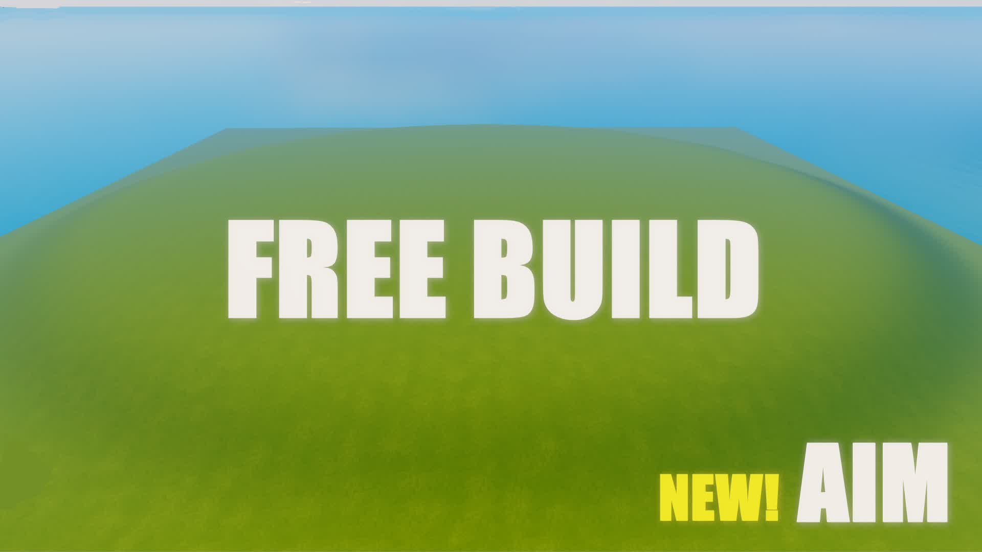 FREE BUILD and AIM