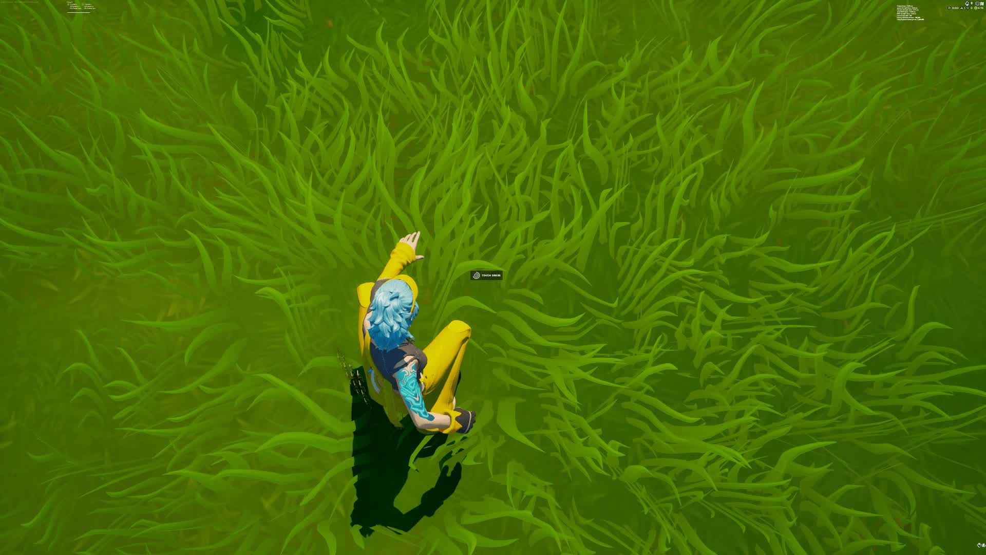 Touch Grass