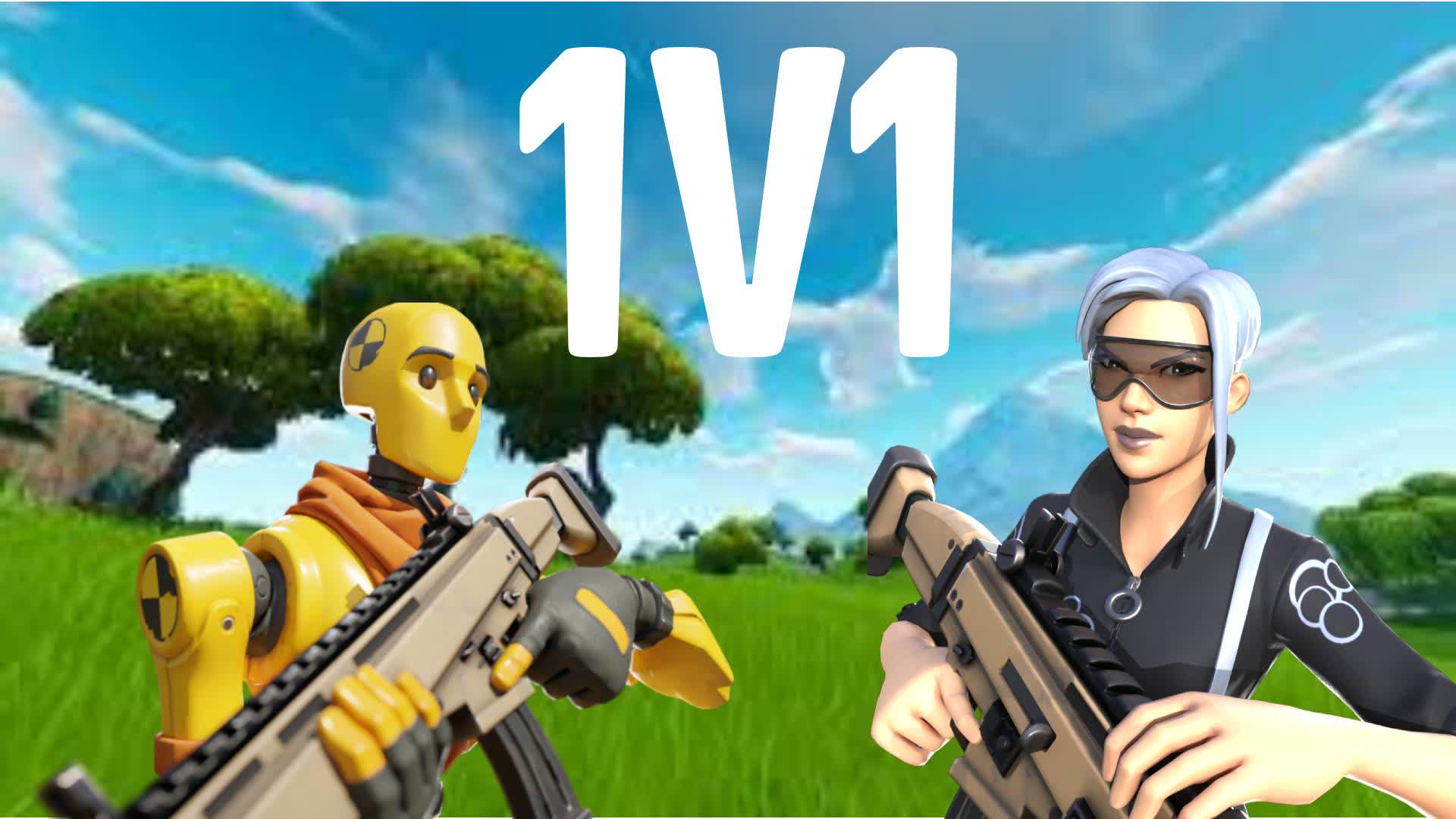 1v1