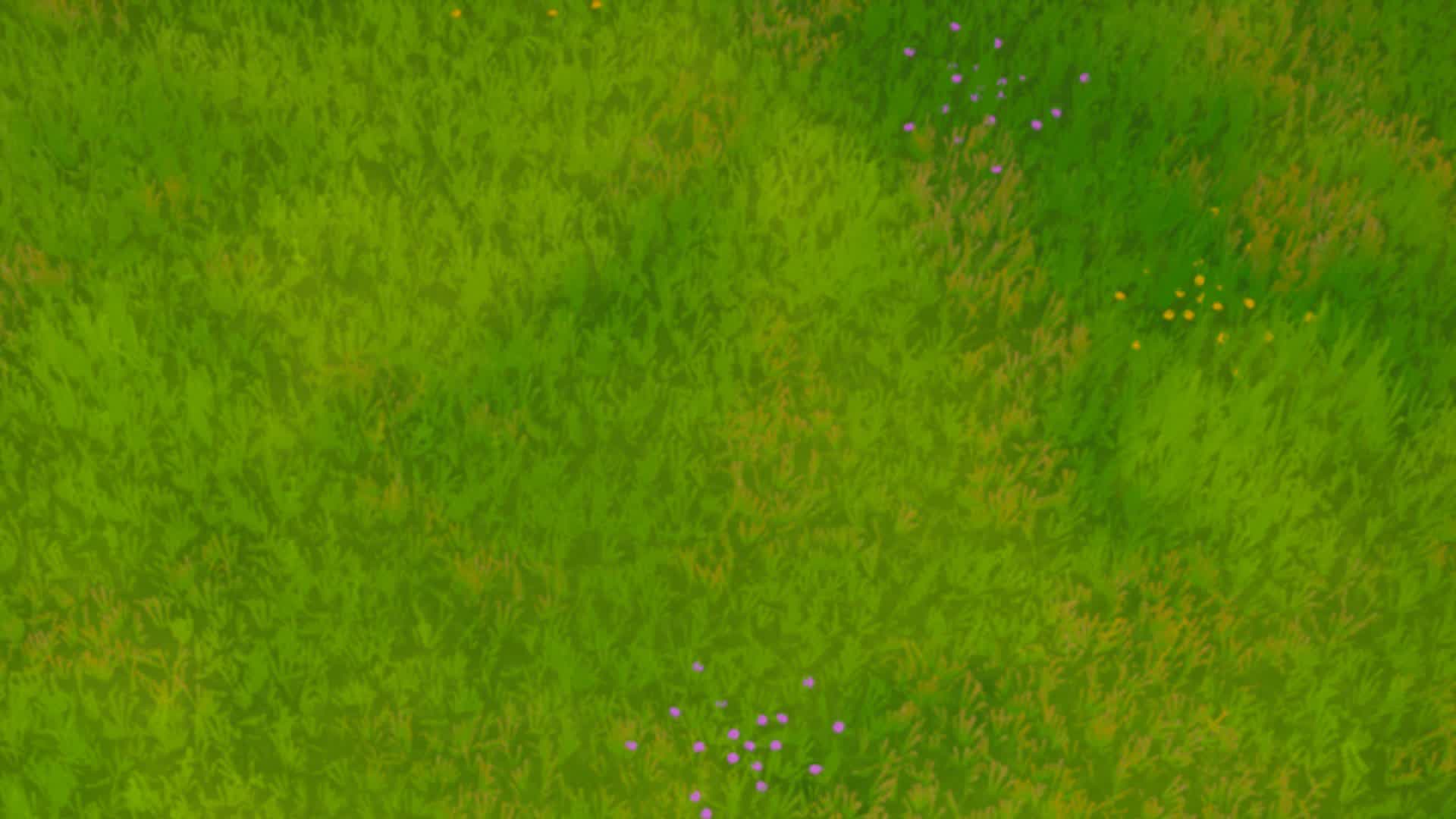 Empty Field