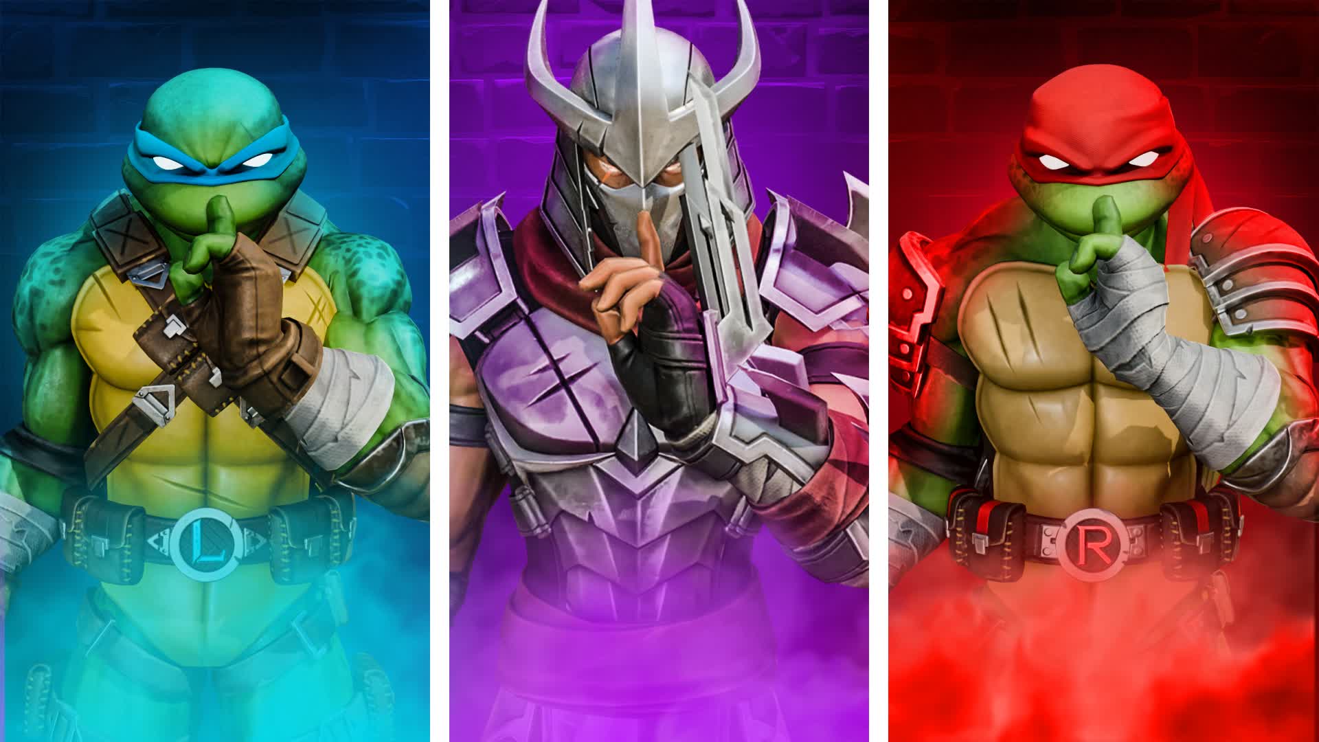 TURTLE HIDE AND SEEK 🐢