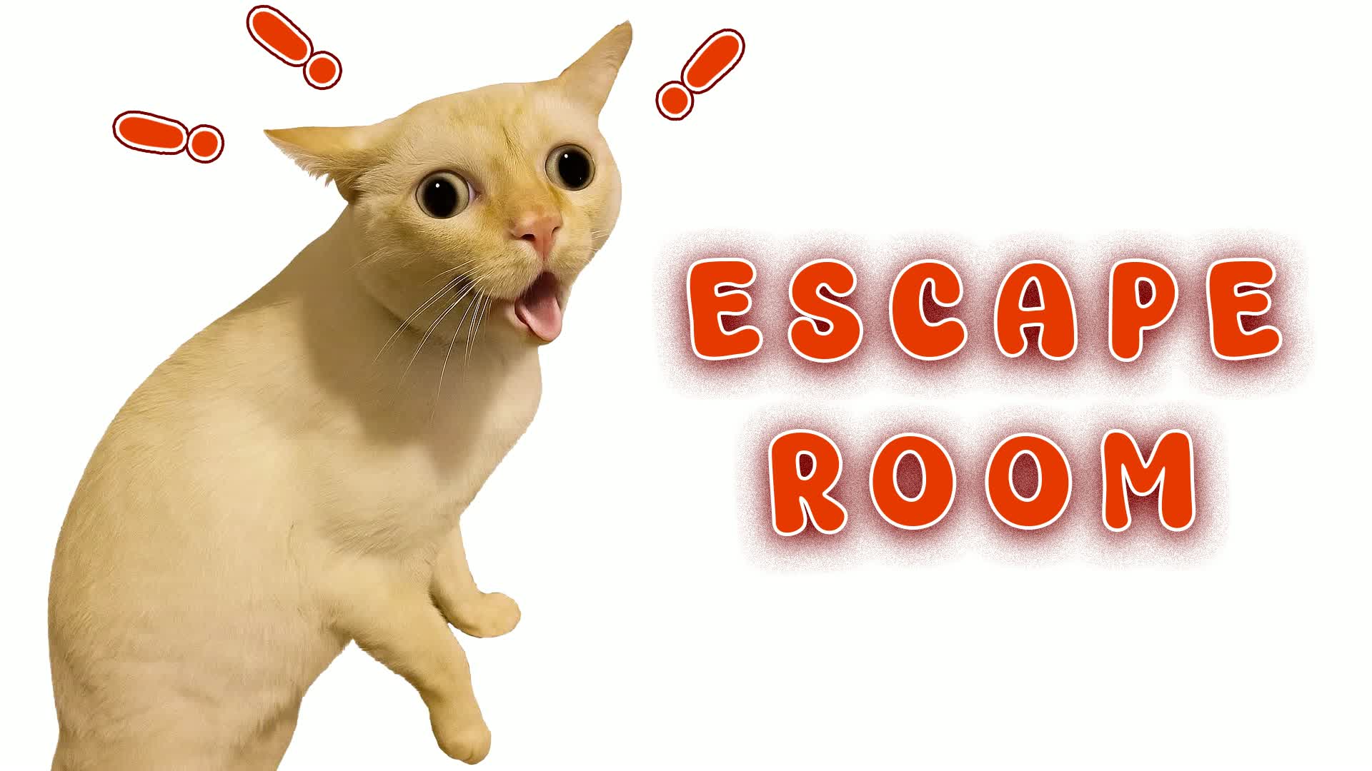 👑 Cat IQ Escape Room 👑
