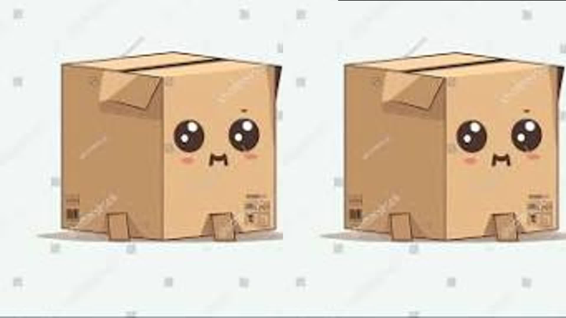 frqe-boxfights