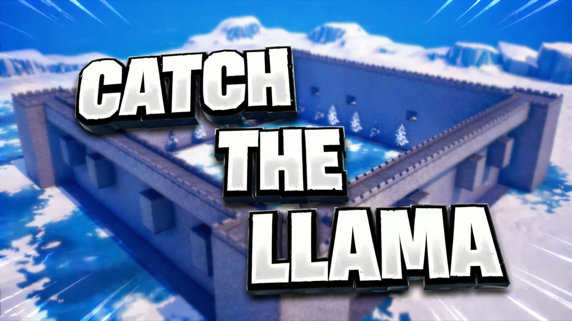 catch the llama 🦙