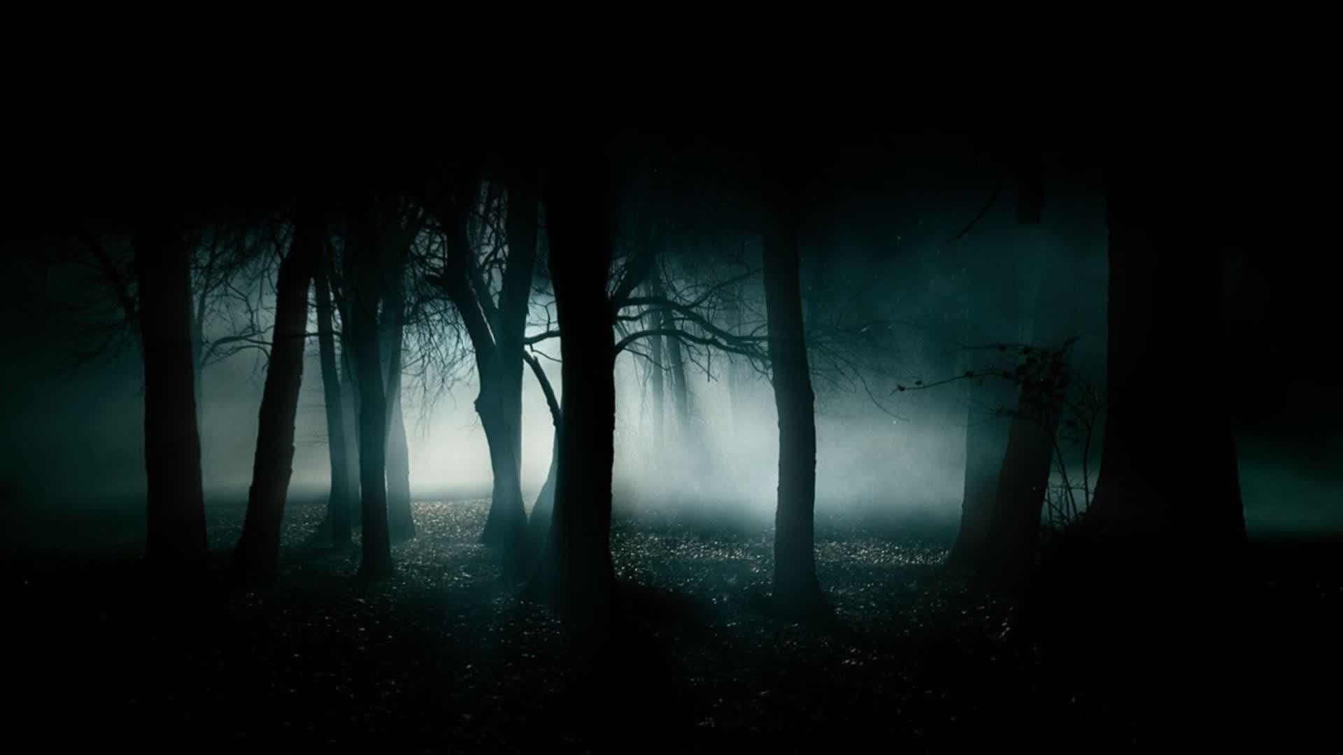 HOUSE OF SUSPENSE