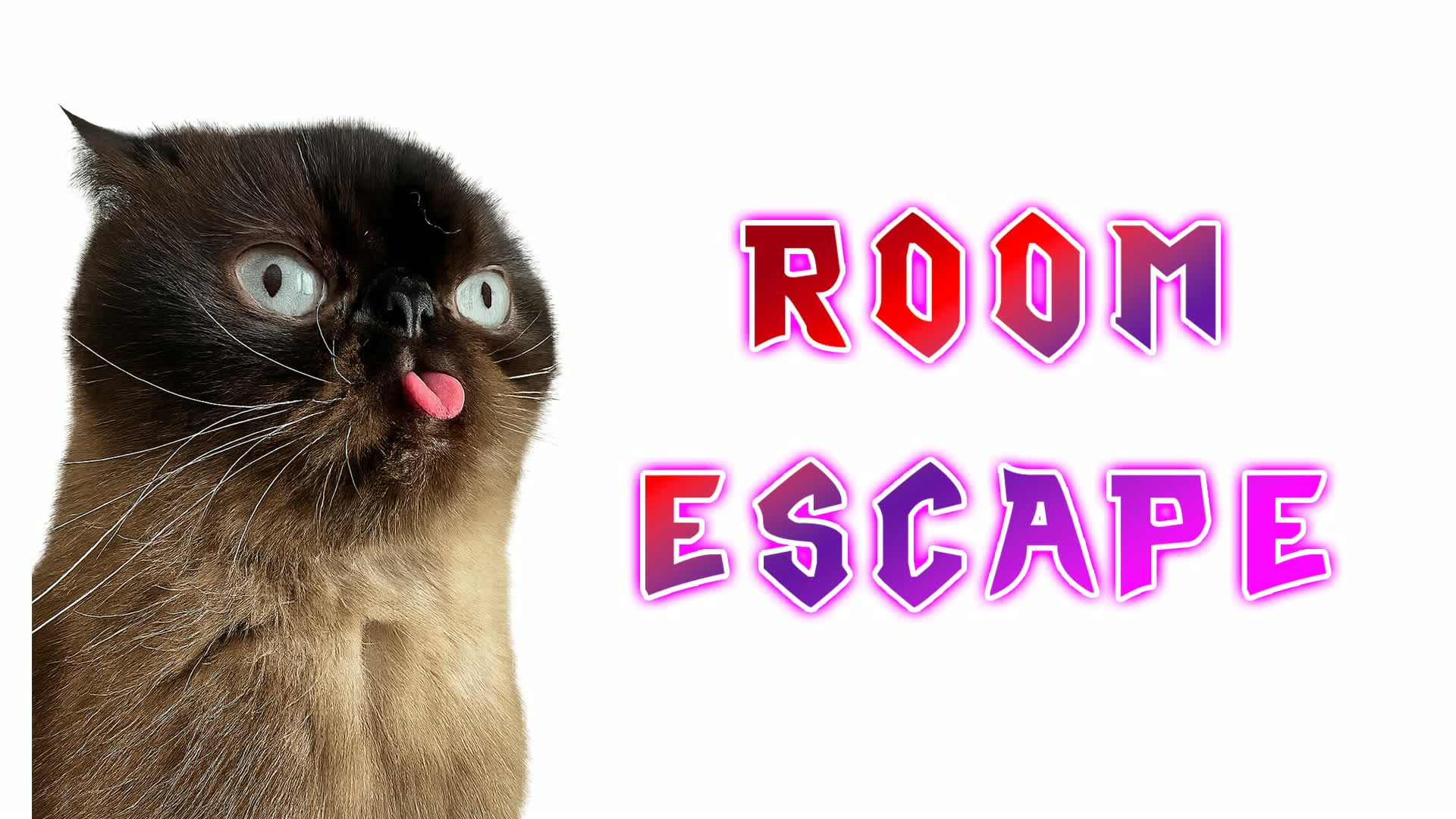 🔑 Crazy Cat IQ Escape Room 🔑