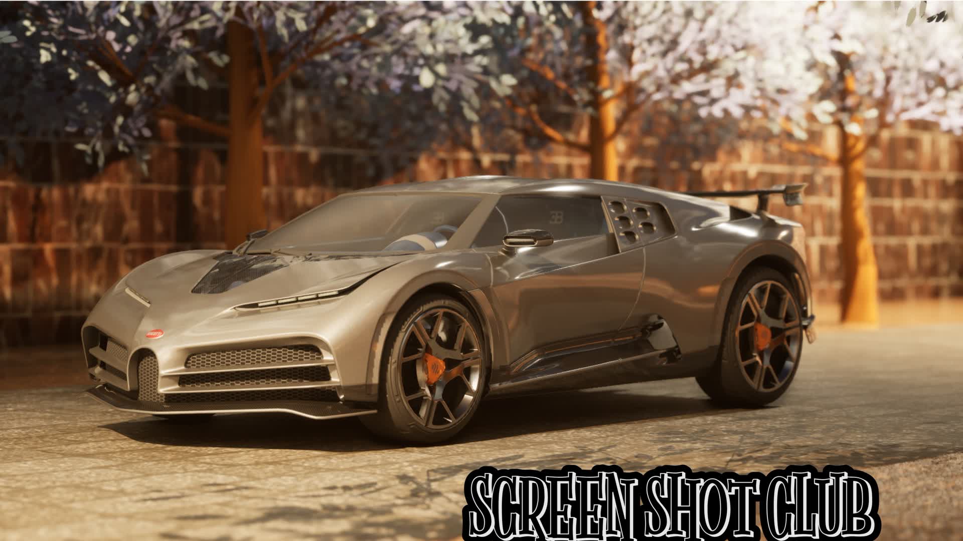 SCREENSHOT CLUB