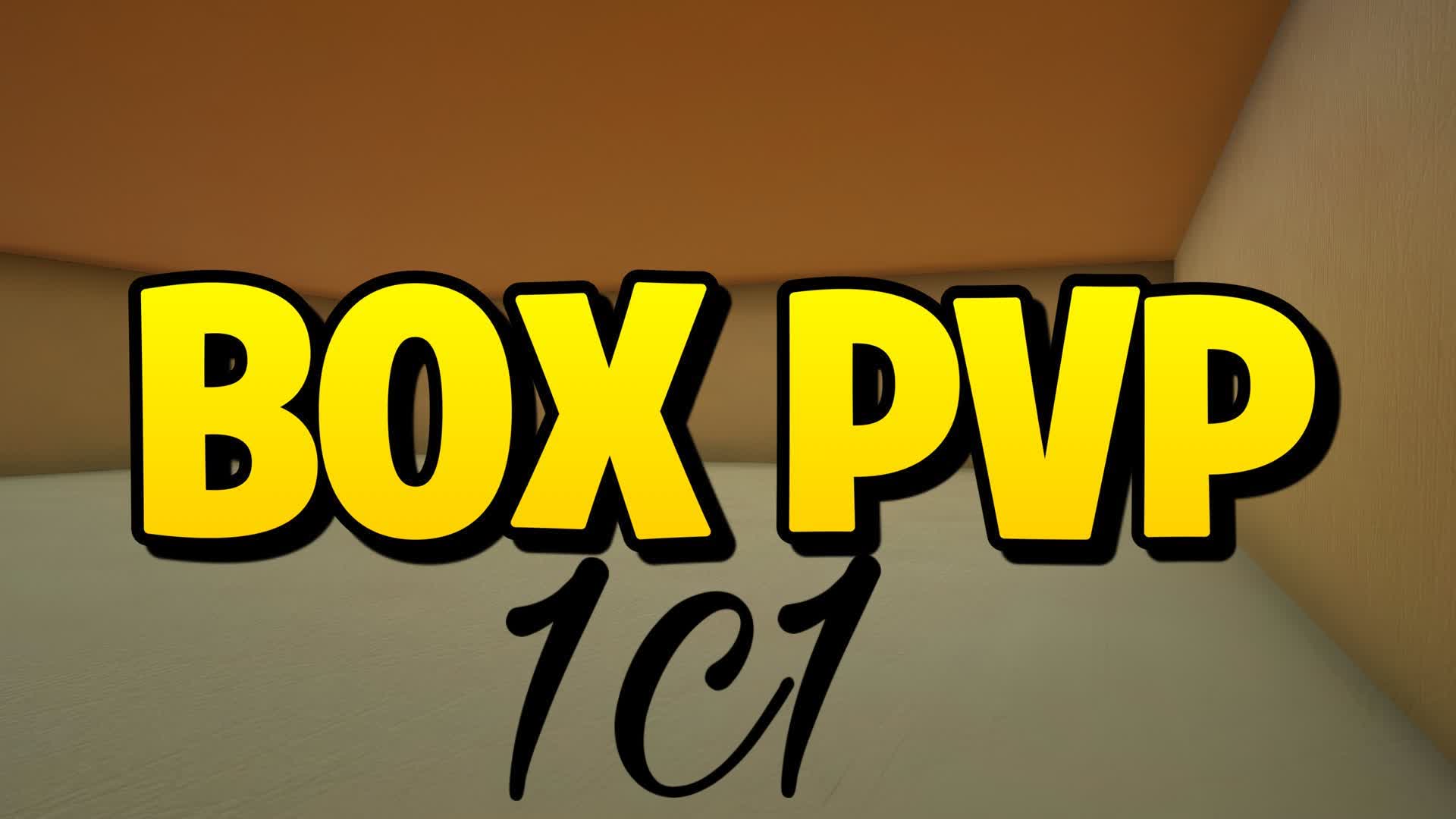 1v1 box figth