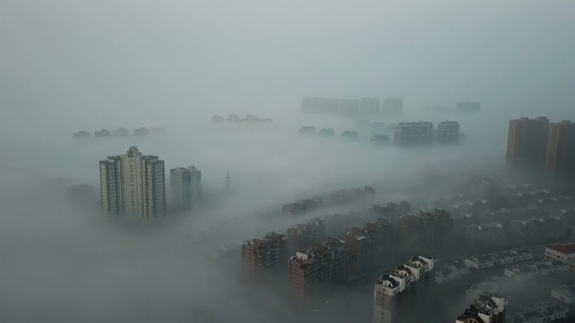 ZOMBIE CITY 2