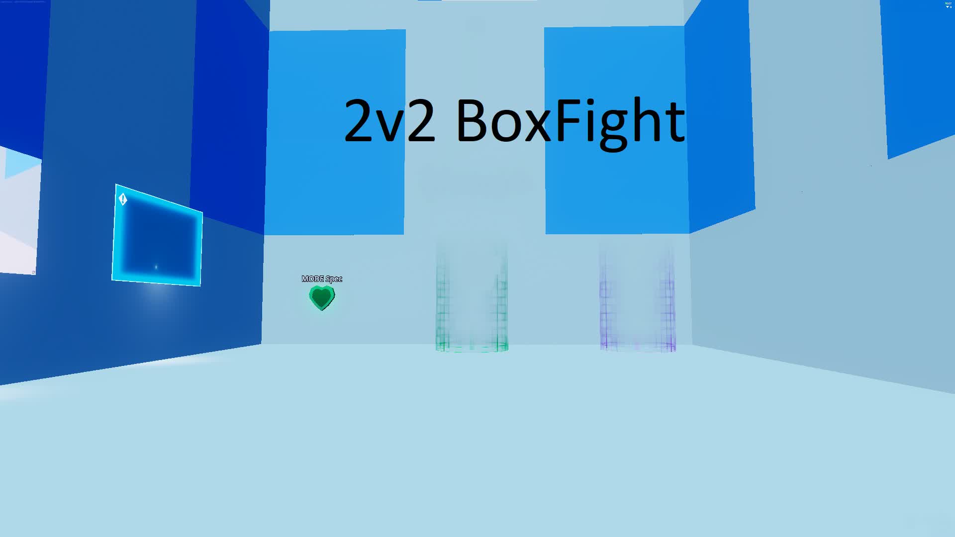 2V2 BOX FIGHT