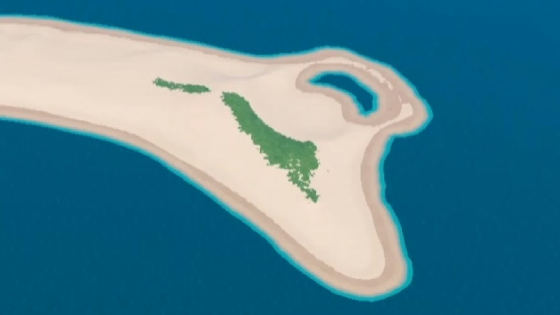 Empty Tropical