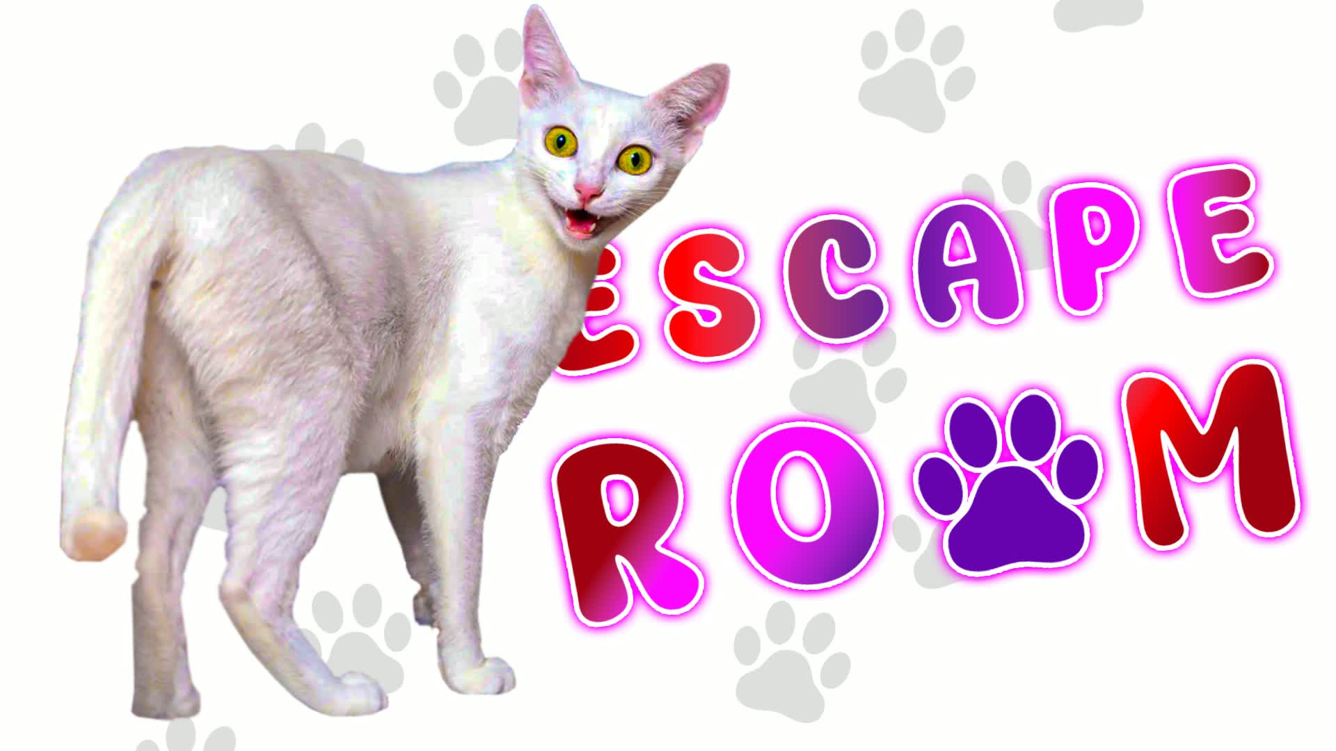 👑 Funny Cat Escape Room 👑