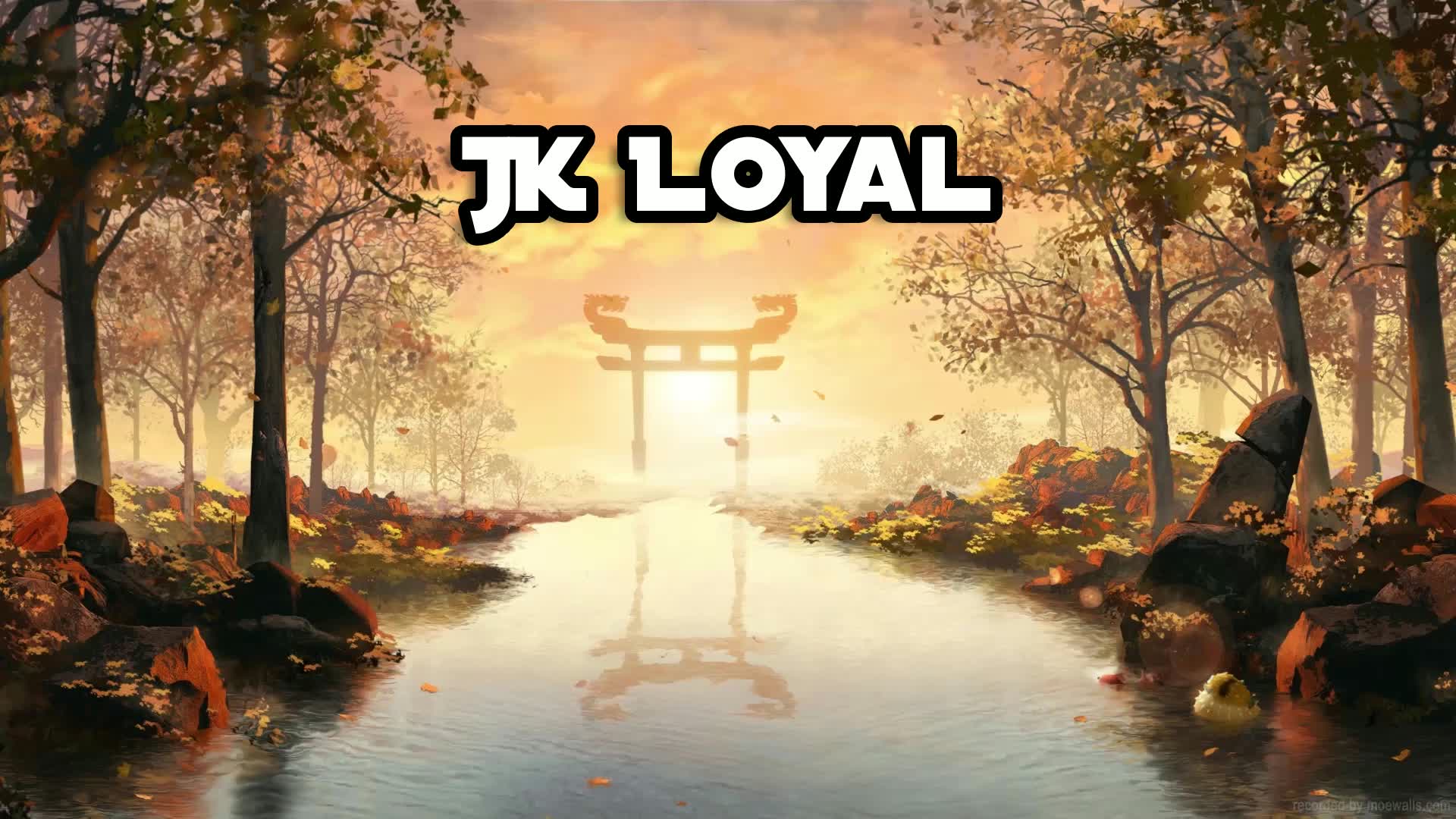 JK Loyal 1v1