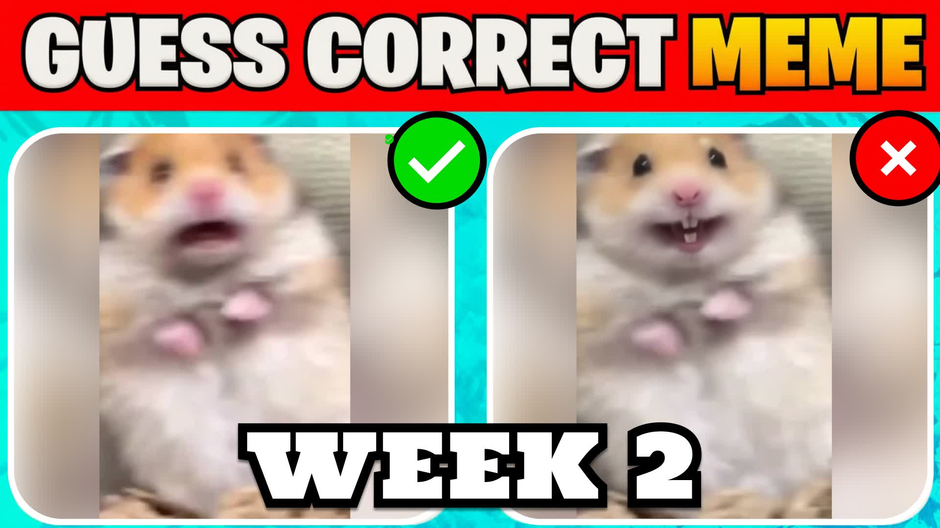 Guess Correct Meme 🔍
