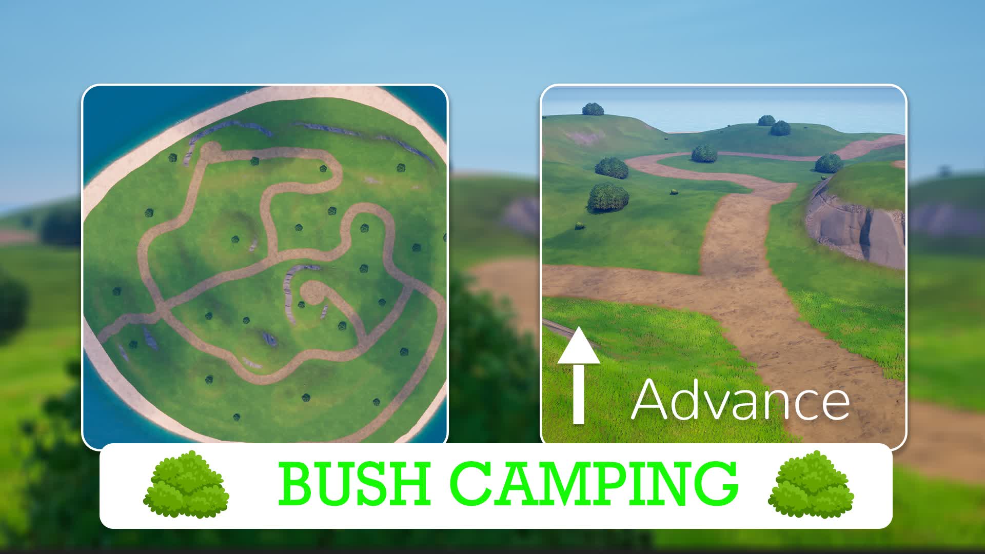 BushCampers