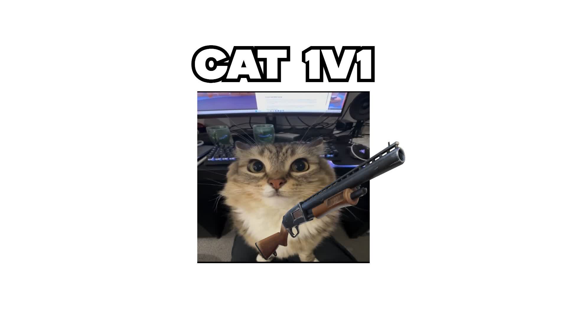 CAT 1V1🐈