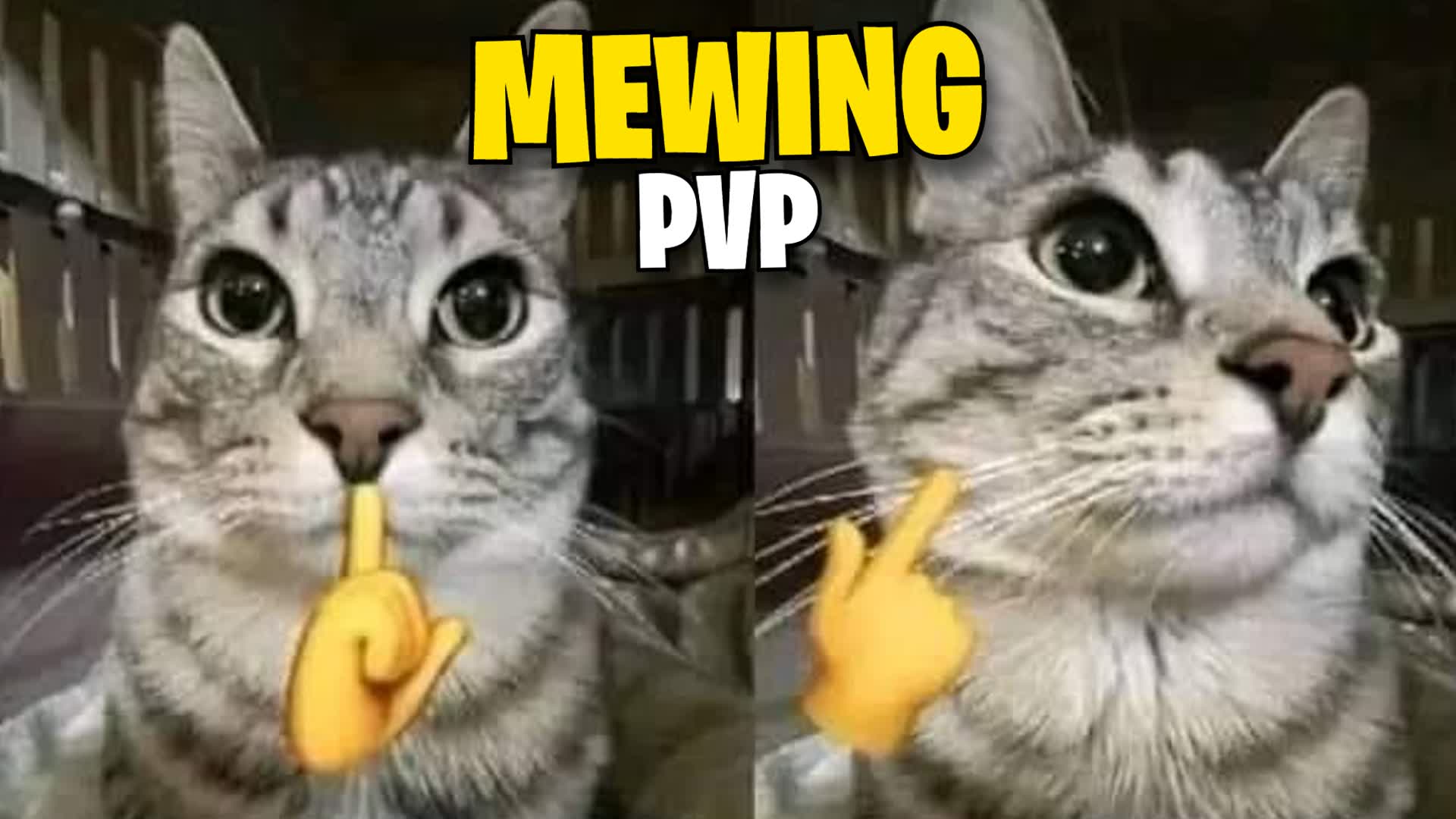 🤫MEWING PVP🤫