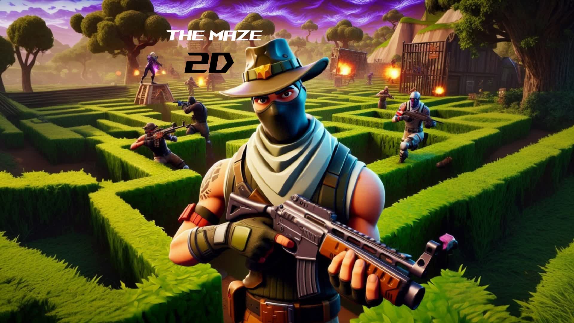 The maze  in 2D