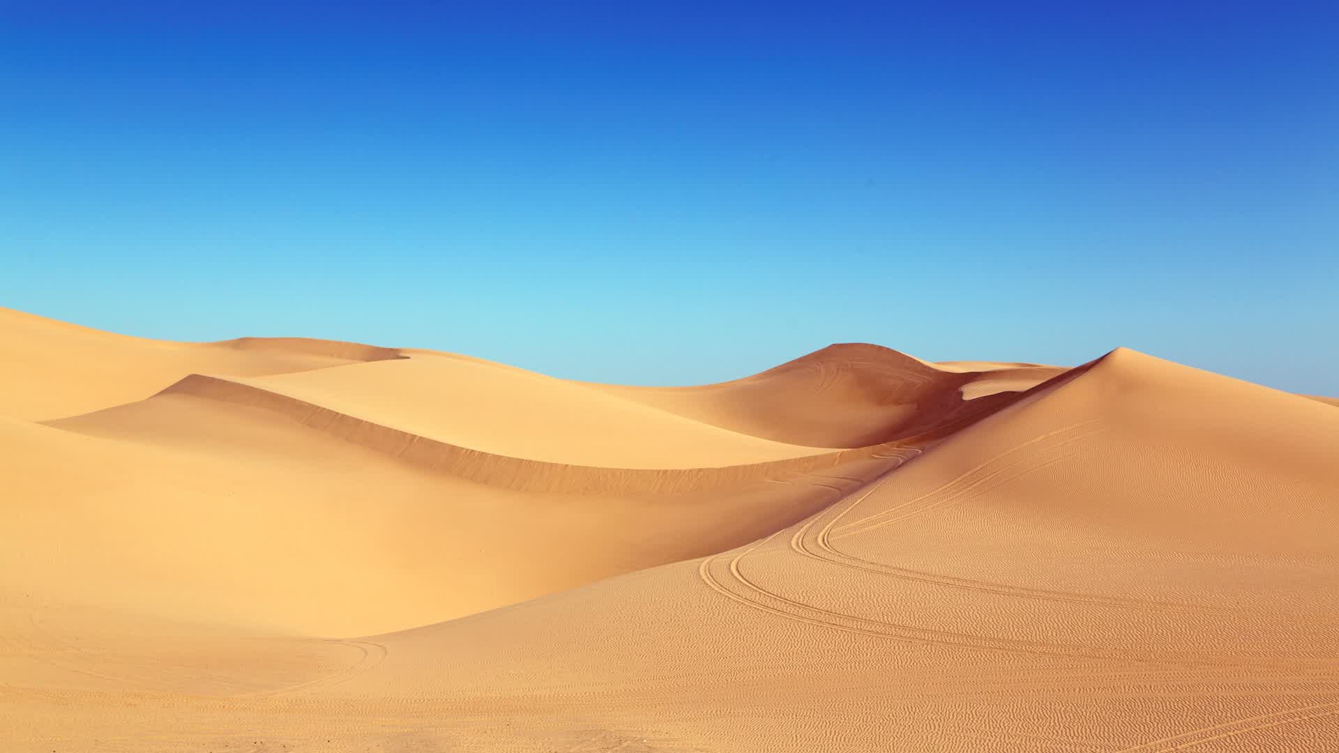 Desert Warfare