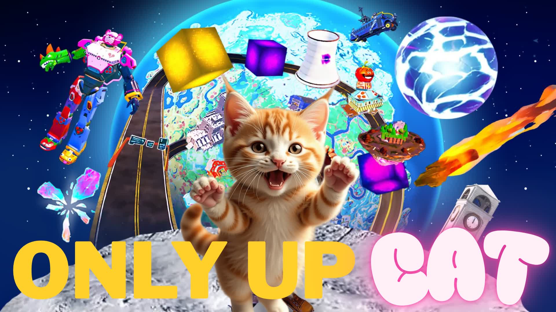 Cat Only up!!