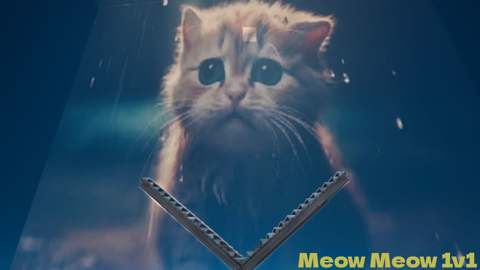 Meow Meow 1v1