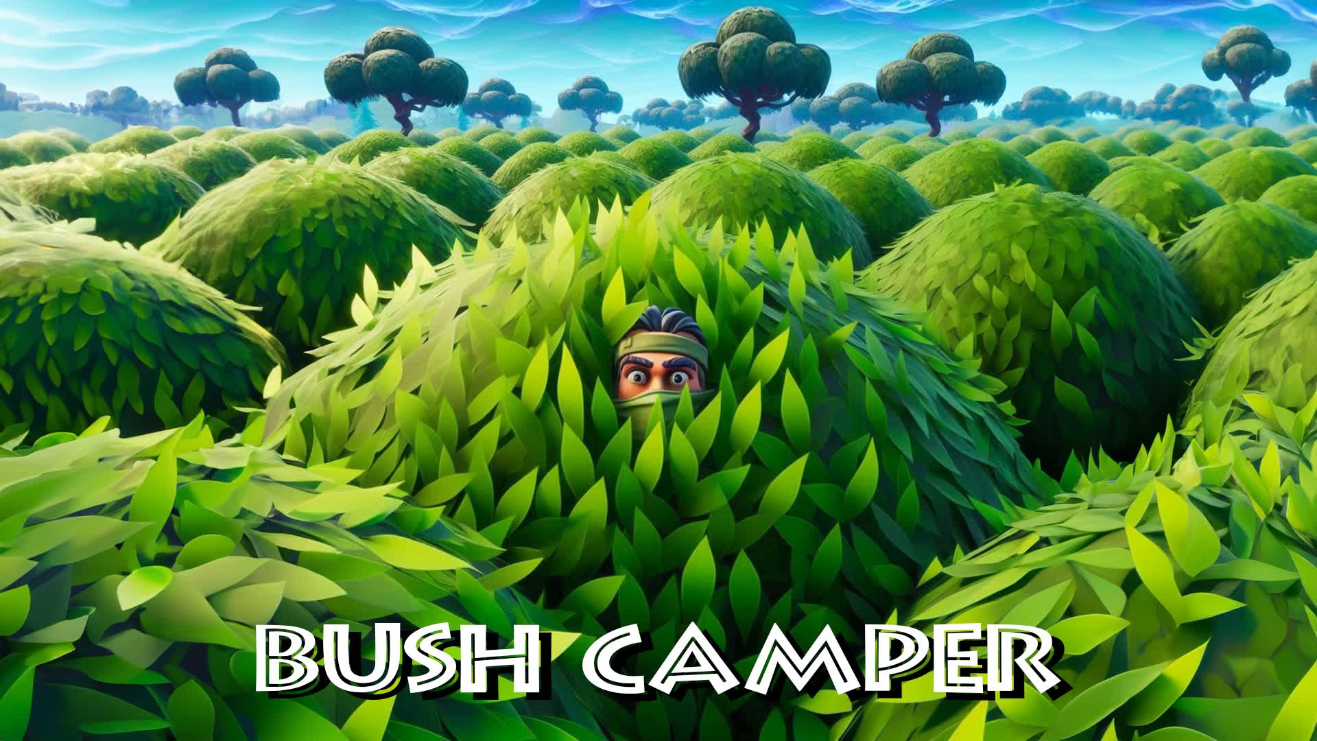 Bush Camper