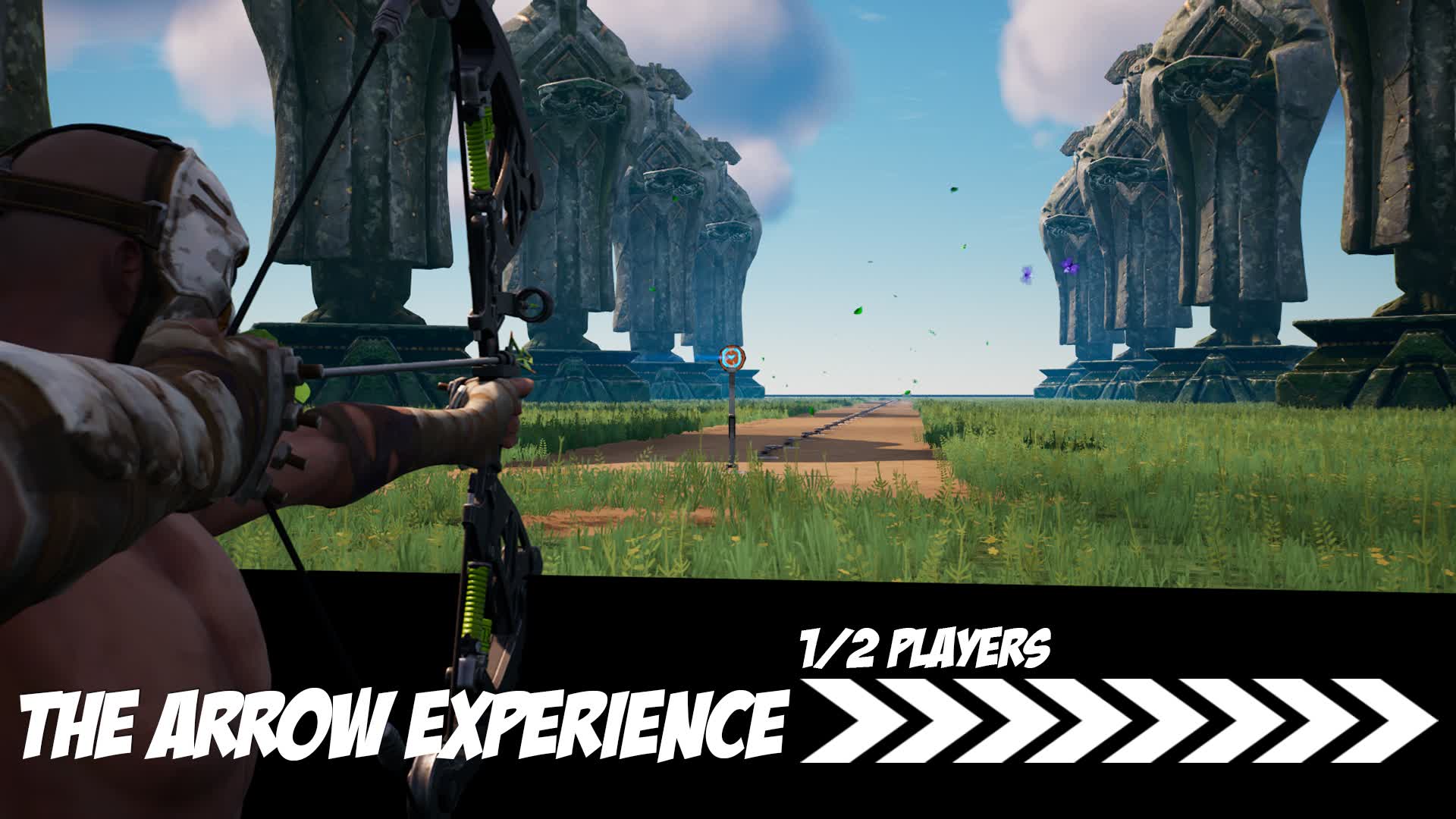 THE ARROW EXPERIENCE