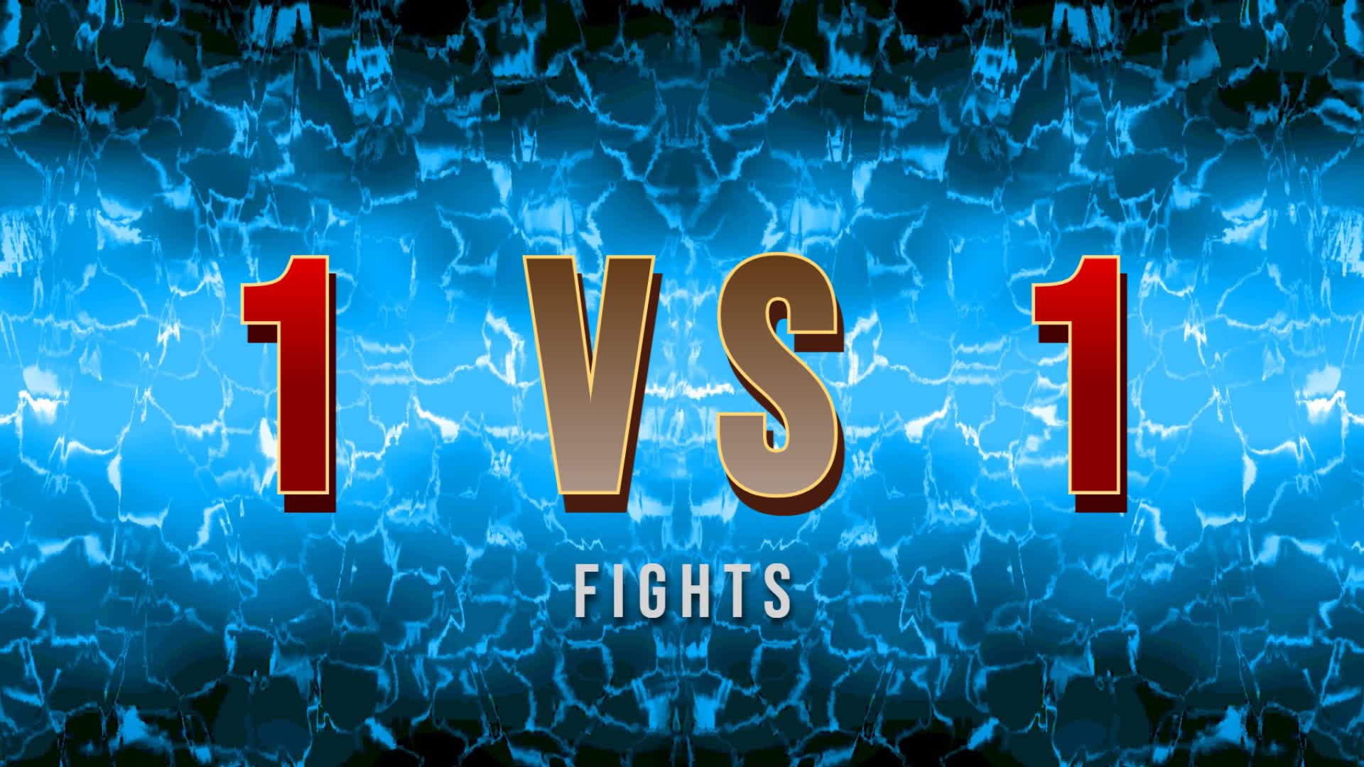 1 VS 1 Fights