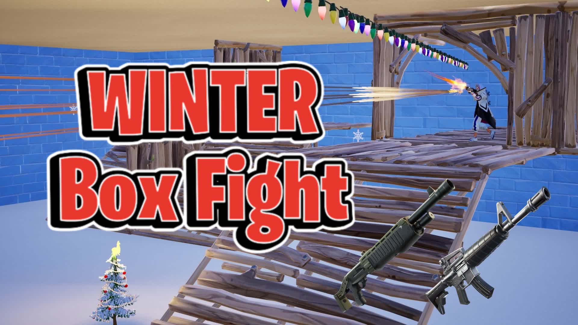Winter Box Fight ❄️