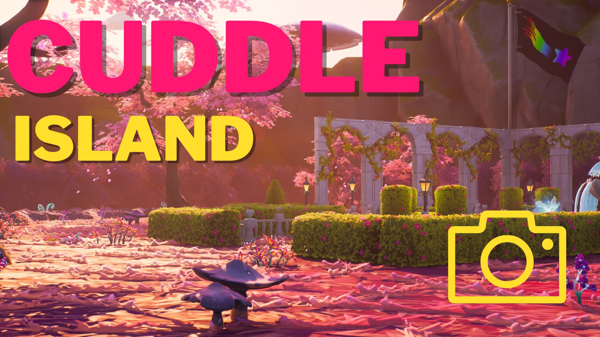 CUDDLE ISLAND | PHOTOGRAPHY