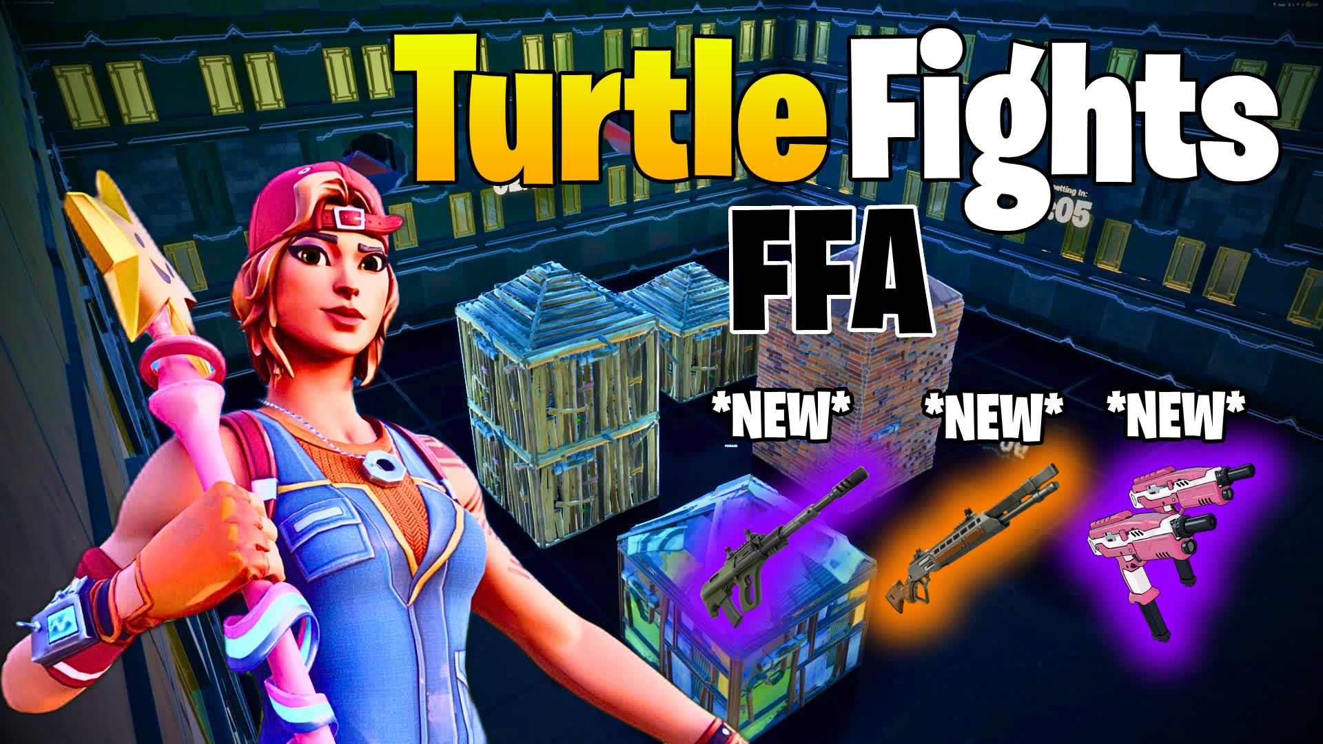 Turtle Fights ZA