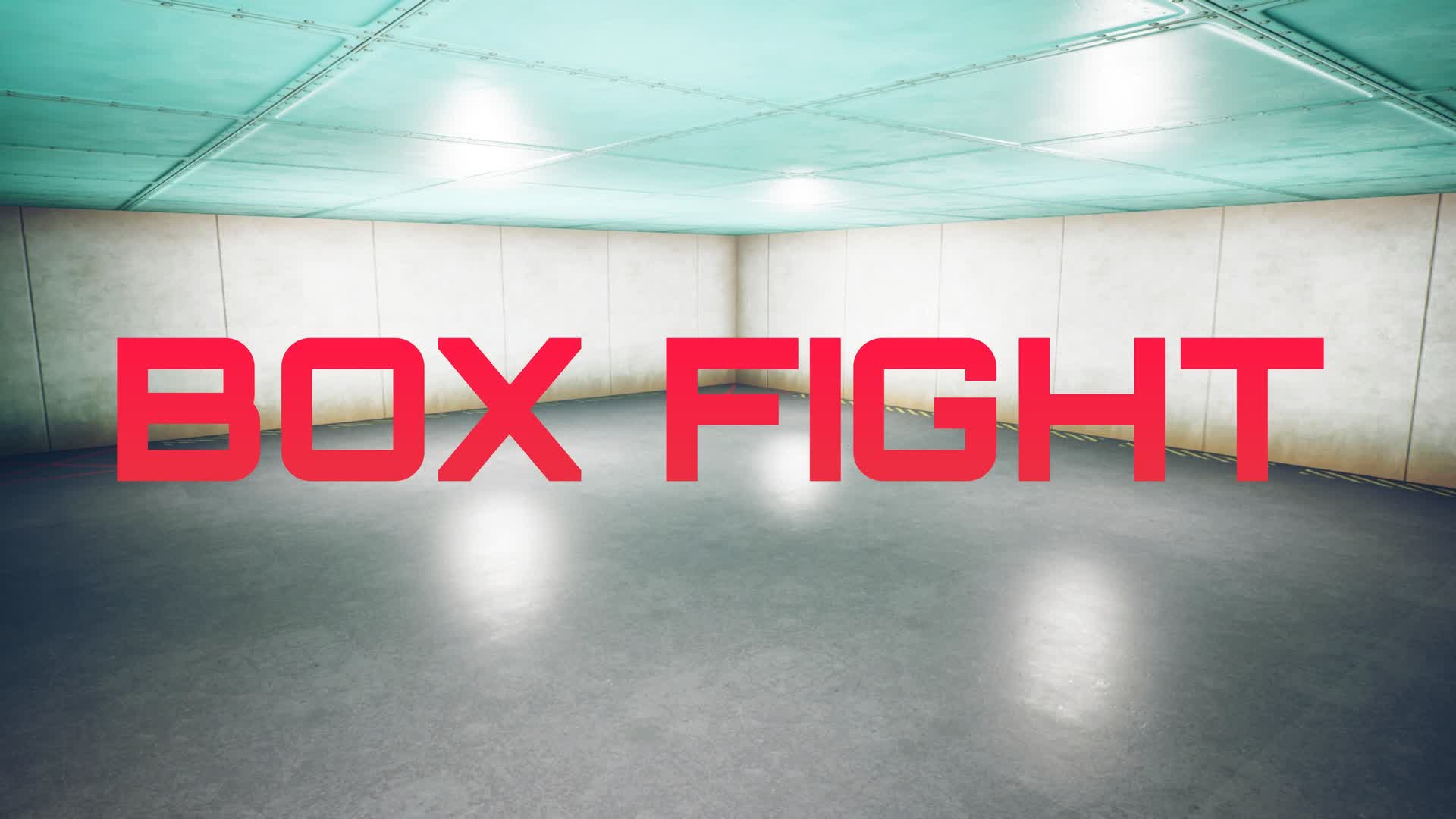BOX FIGHT