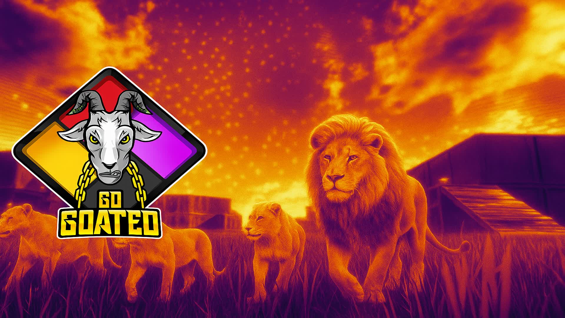 Go lions zone wars